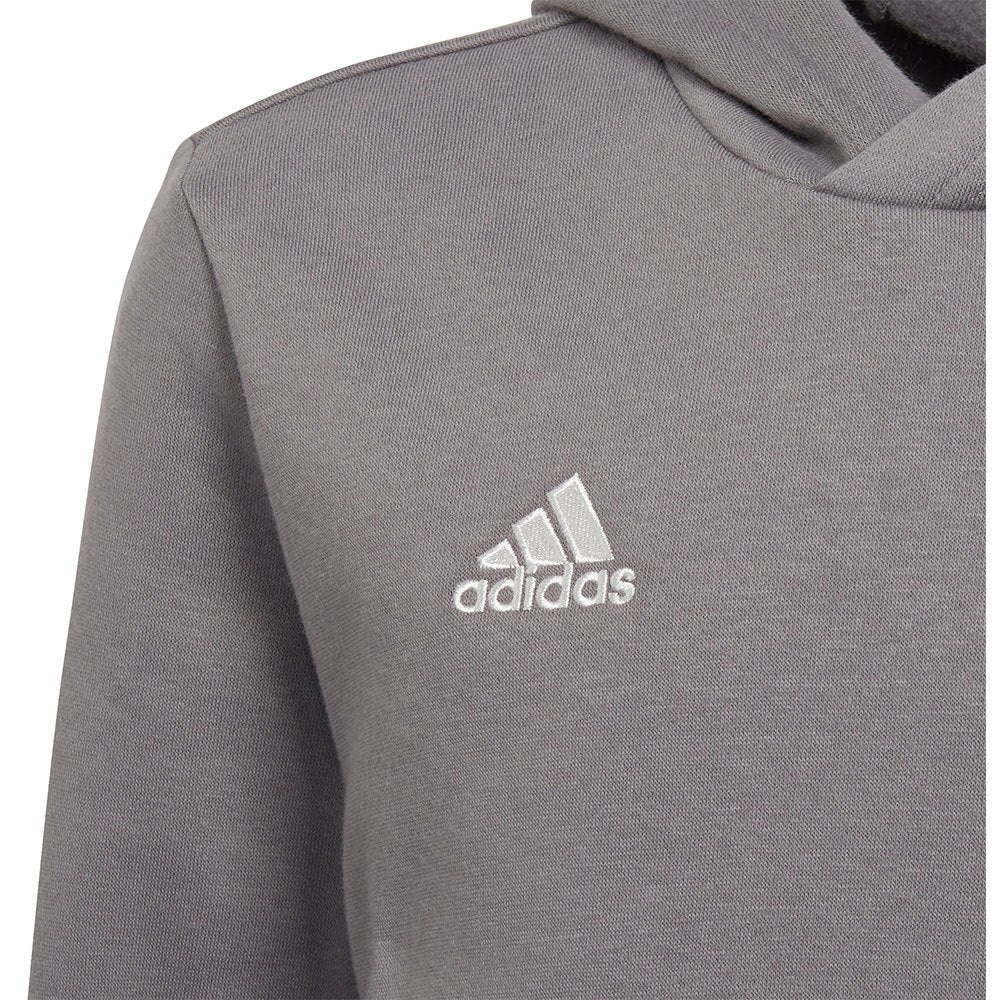 Adidas Ent22 Hoodie Junior